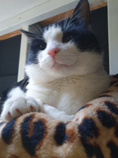 Konrad Bachurski (TaDeoArtLens)